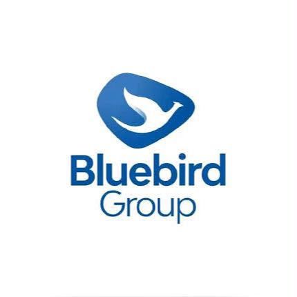 Blue Bird Taxi
