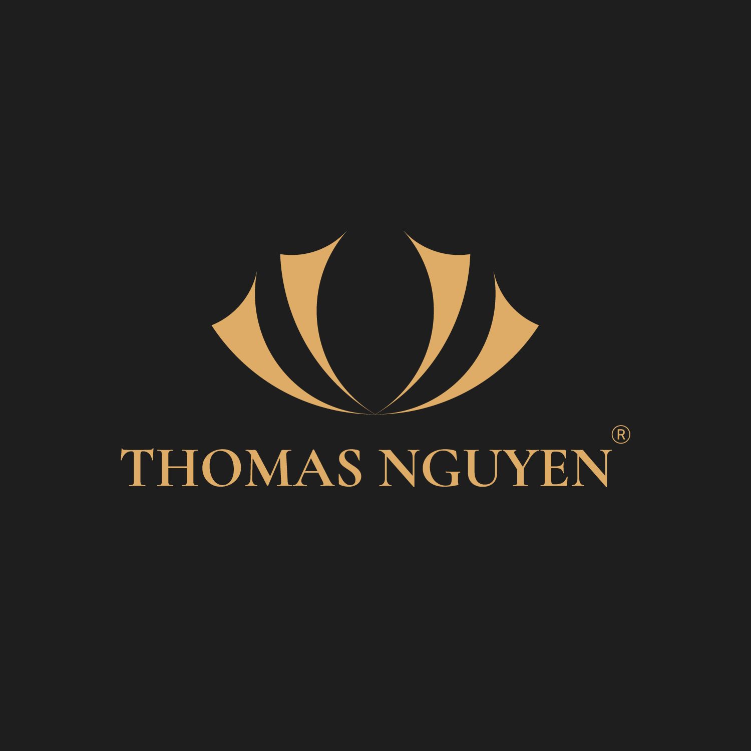 Công ty TNHH Thomas Nguyen logo