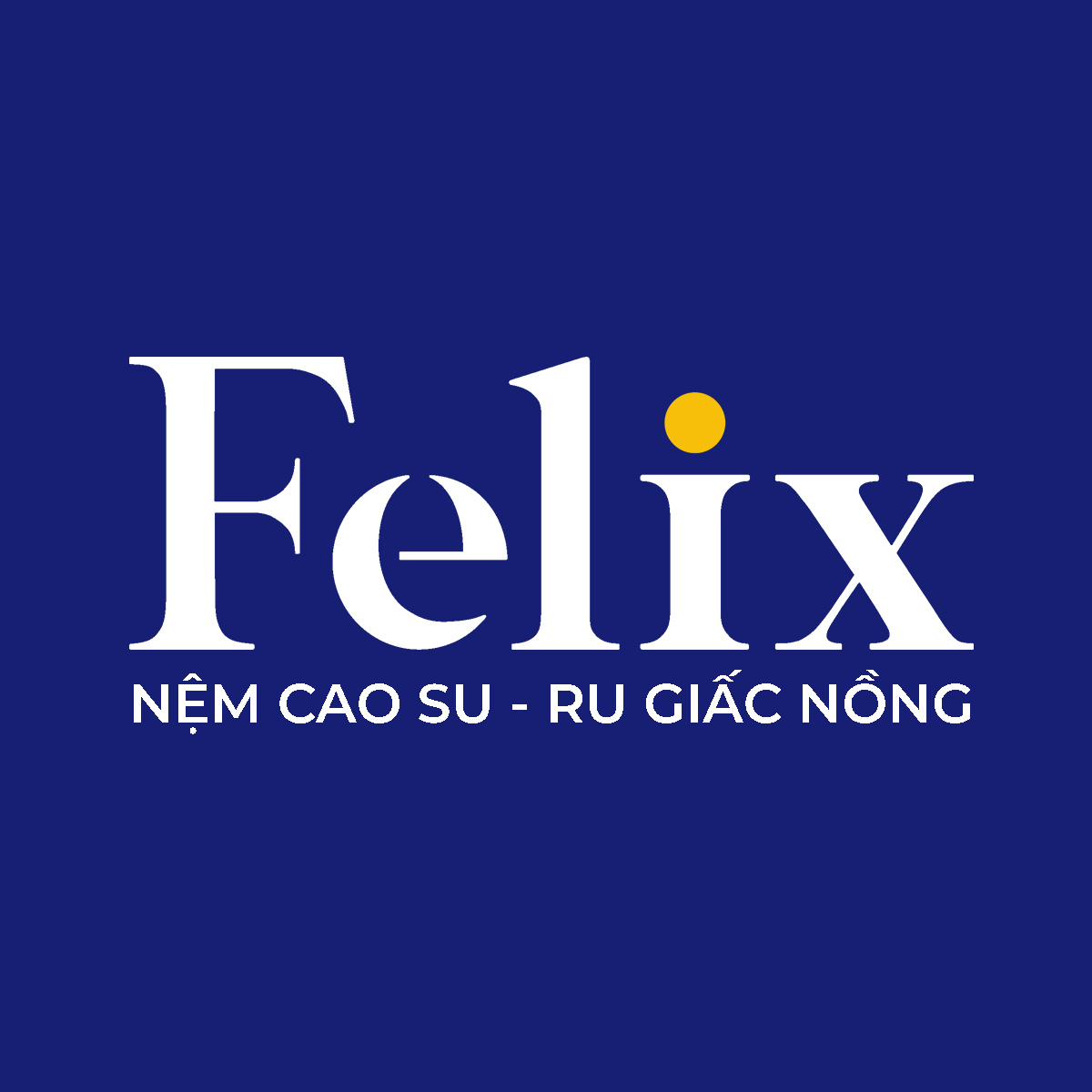 CÔNG TY TNHH NỆM FELIX