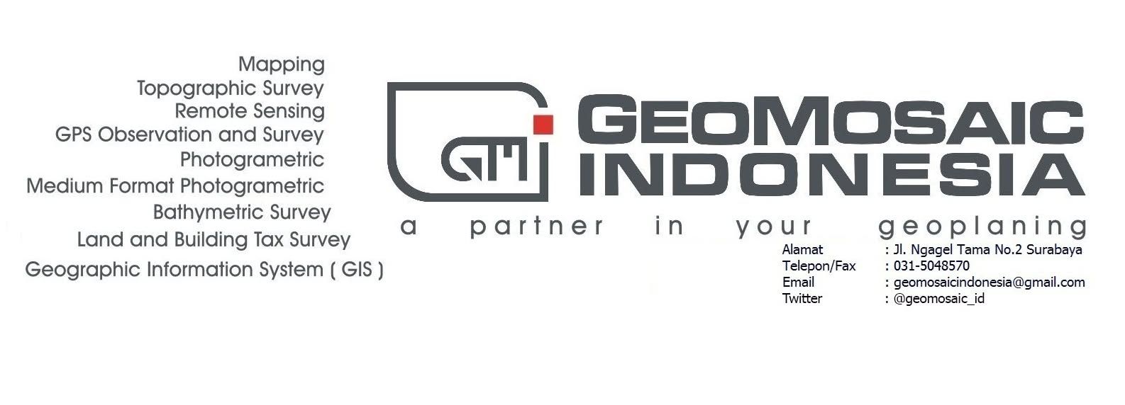 PT. GeoMosaic Indonesia logo