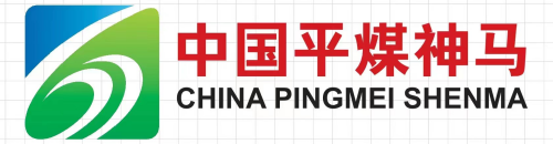 CHINA PINGMEI SHENMA HOLDING GROUP CO LTD