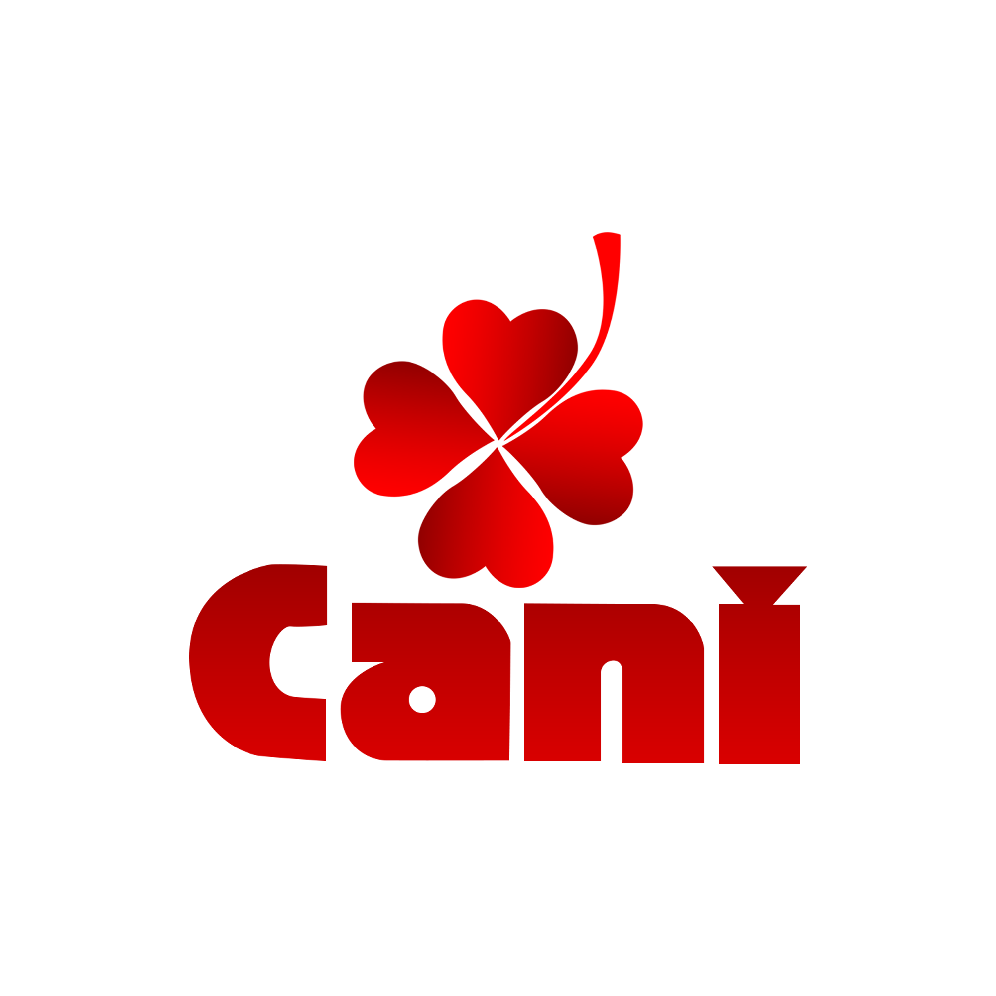 CANI CORP