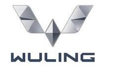 WULING MAJU MOTOR GROUP