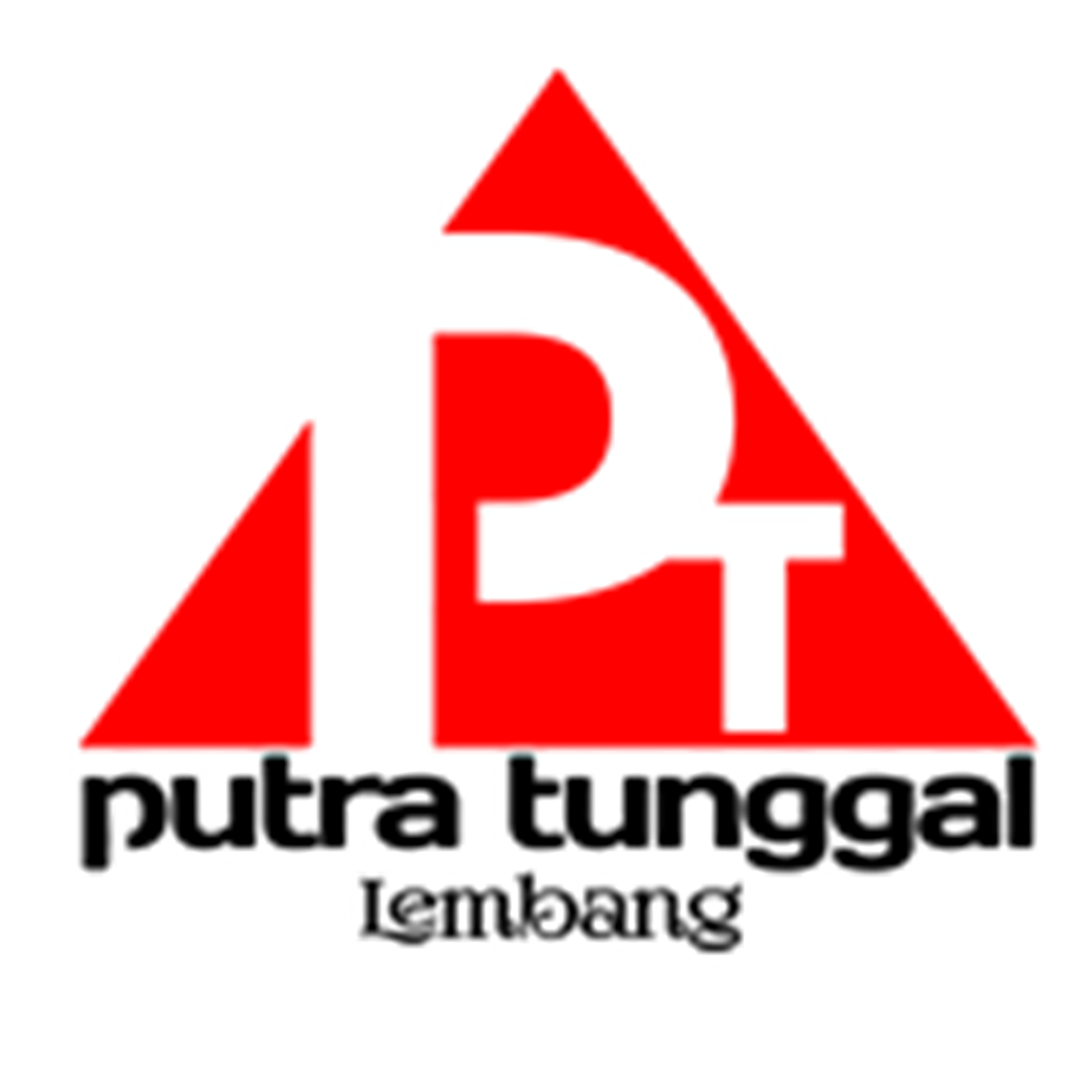 CV Putra Tunggal logo