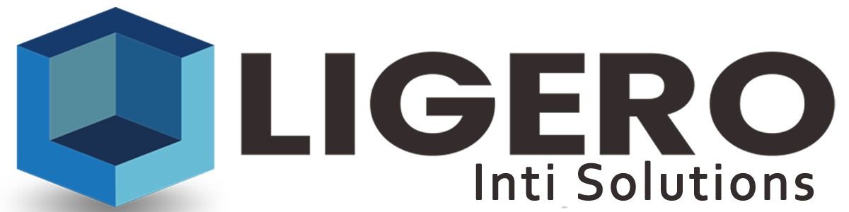 PT Ligero Inti Solutions