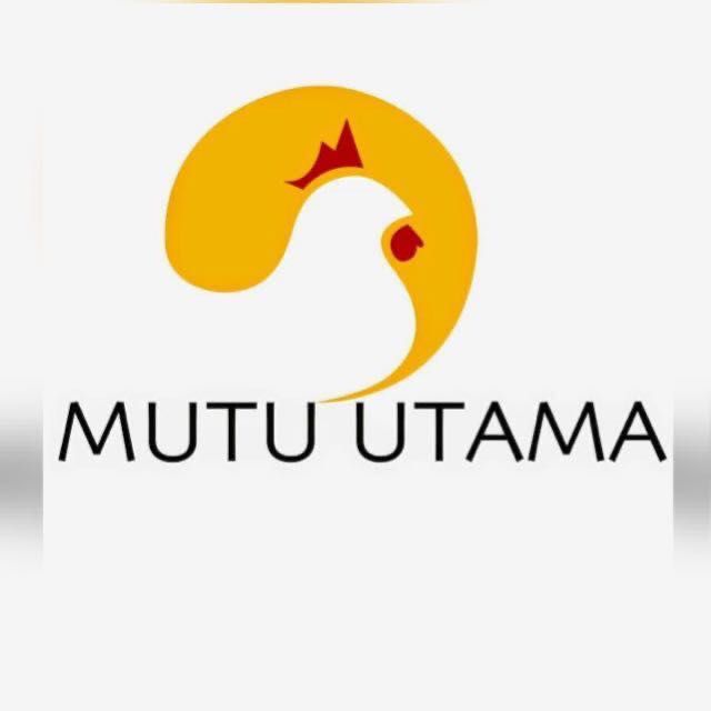 PT MUTU UTAMA PANGANINDO