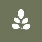 Treelogy | Premium Organic Moringa
