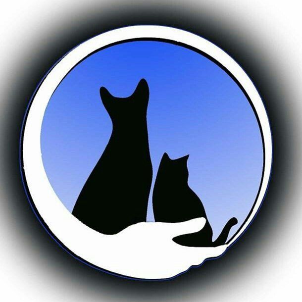 GRAZIA PETSHOP & GROOMING