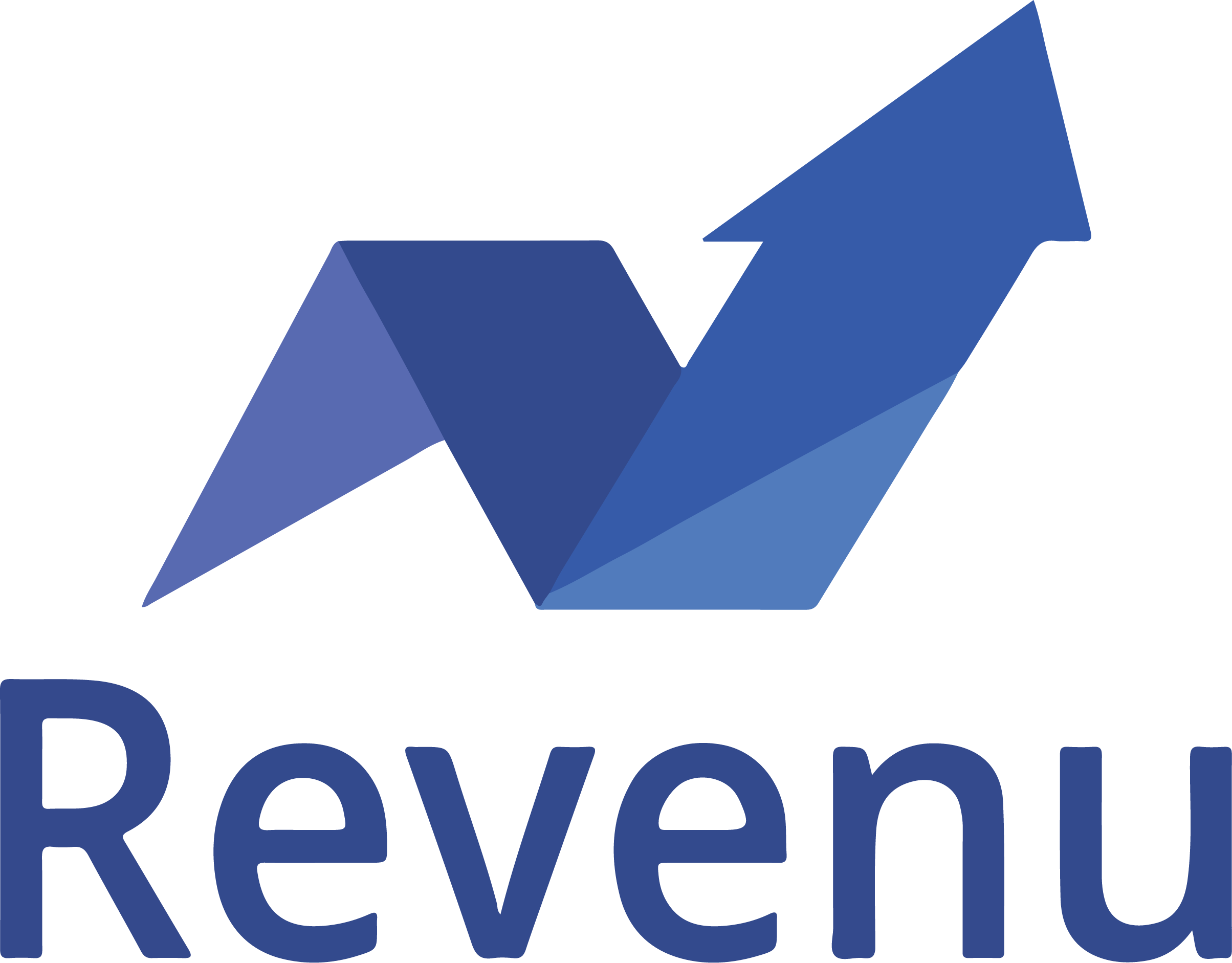 Revenu Digital Agency