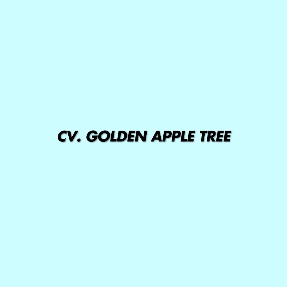 CV Golden Apple Tree