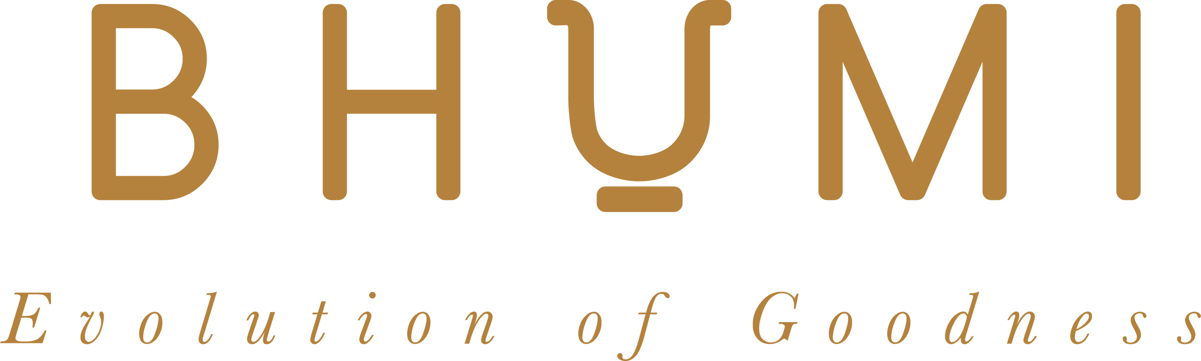 Bhumi