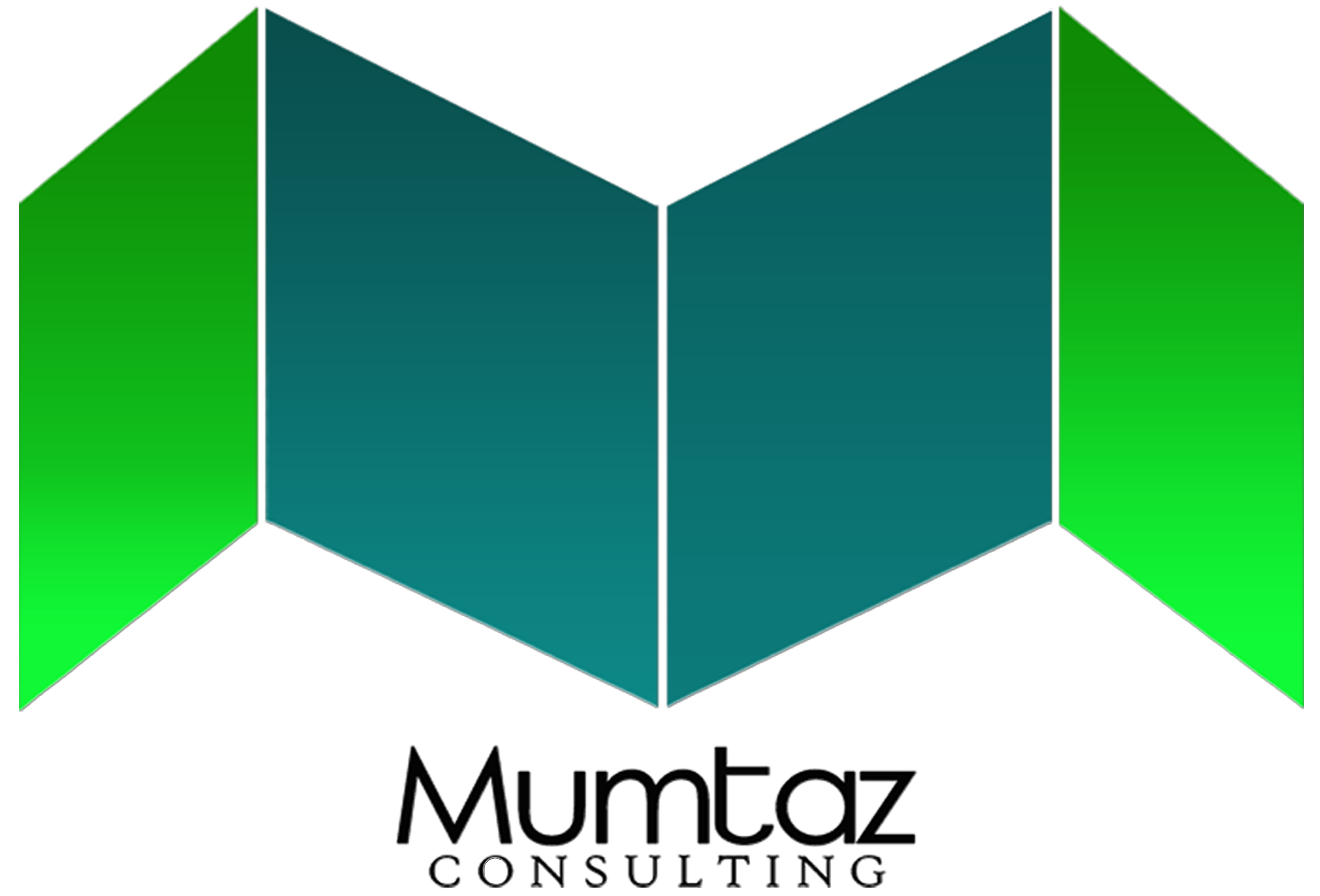 Mumtaz Consulting