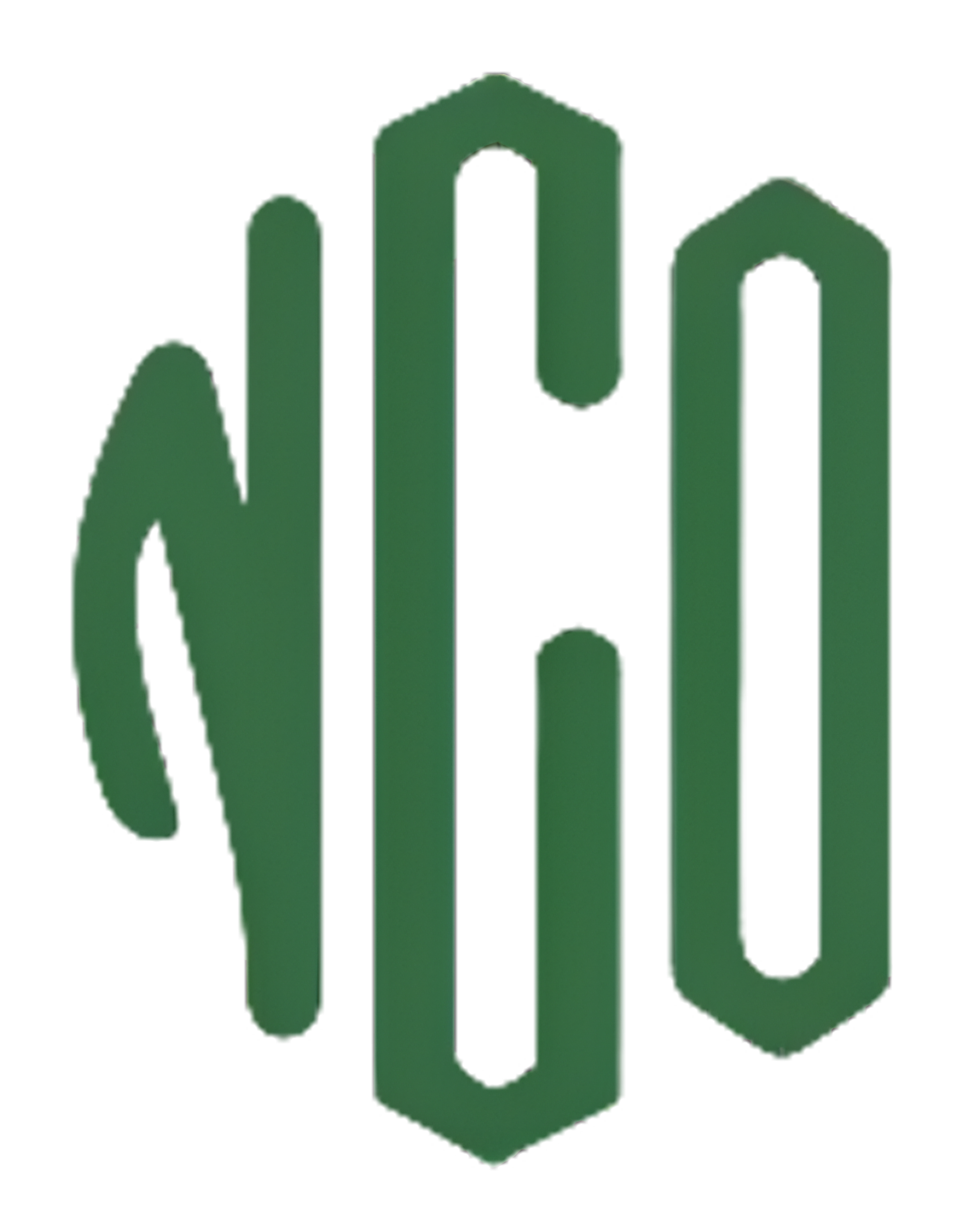 National Consulting Office logo