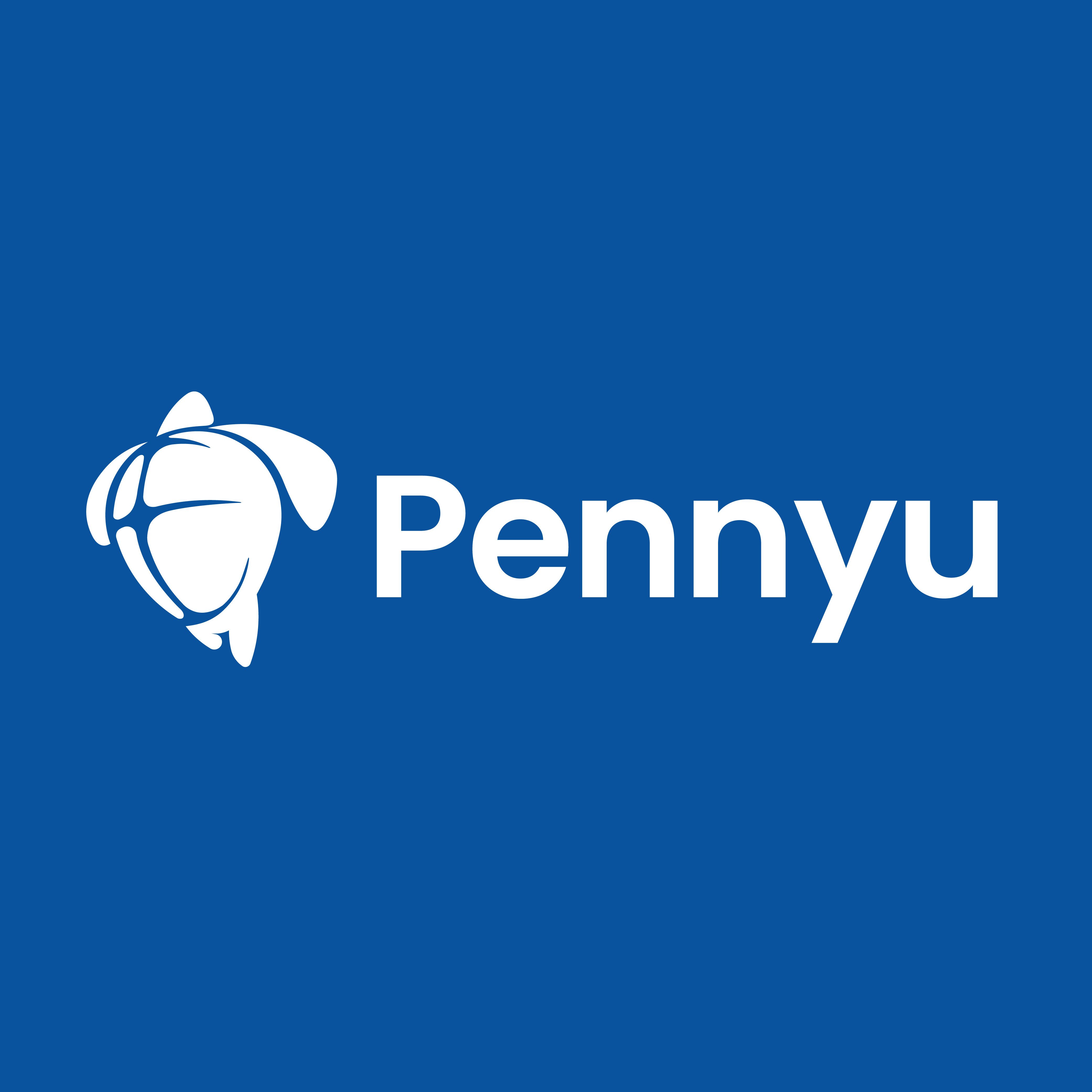 Pennyu Group