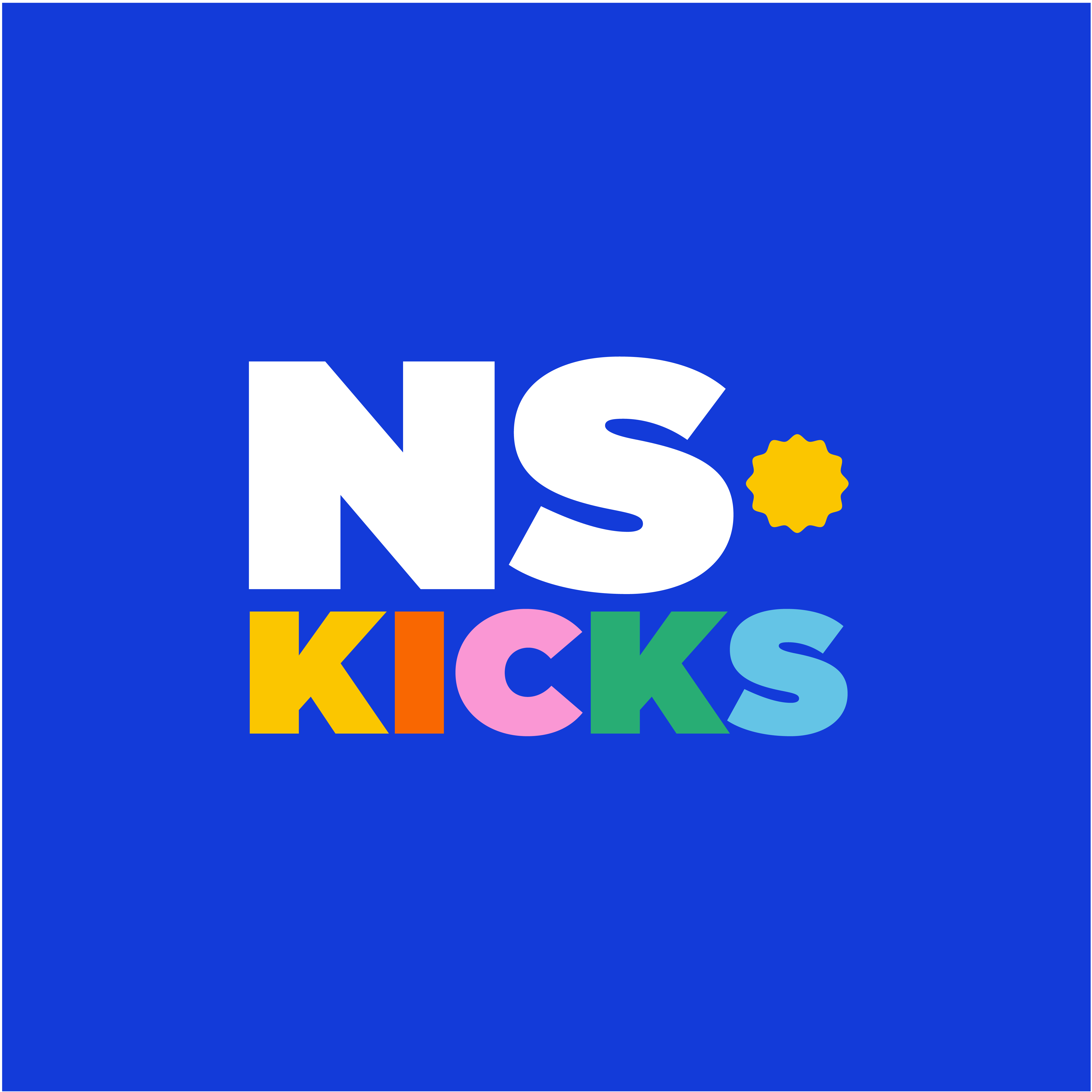 NS KICKS