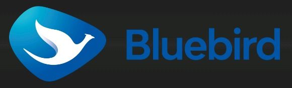 PT. Lintas Buana Taksi (A Member of Bluebird Group)