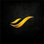 Desle Shoes logo