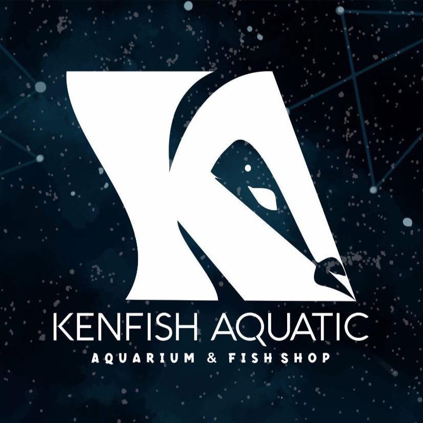 Kenfish Aquatic