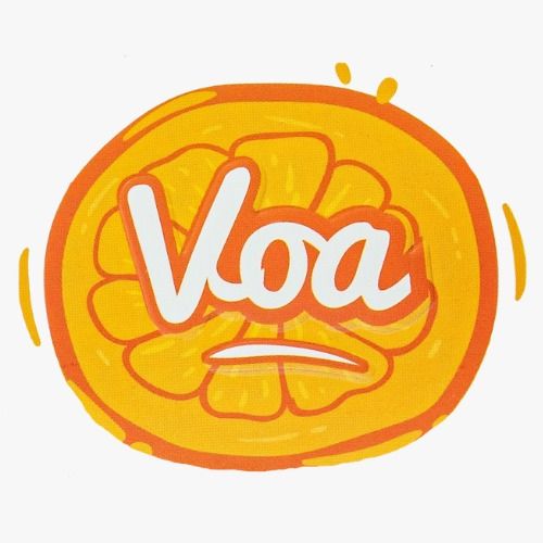 Vitamin anak VOA logo