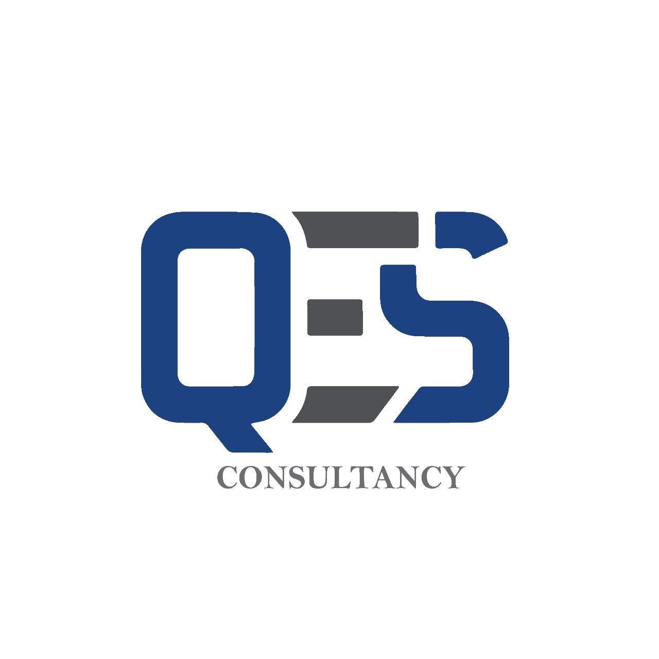 QE SAFETY CONSULTANCY PTE. LTD. logo