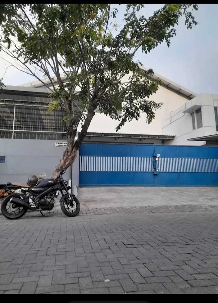 PT.Maju Jaya Lestari