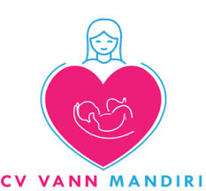 CV VANN MANDIRI