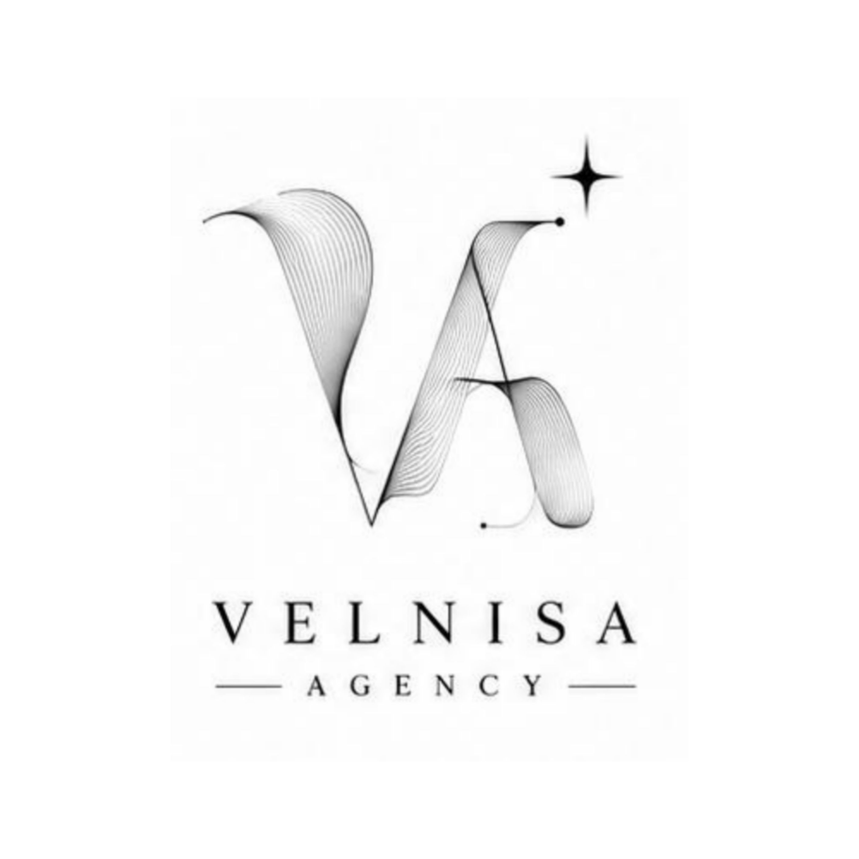 Velnisa Agency
