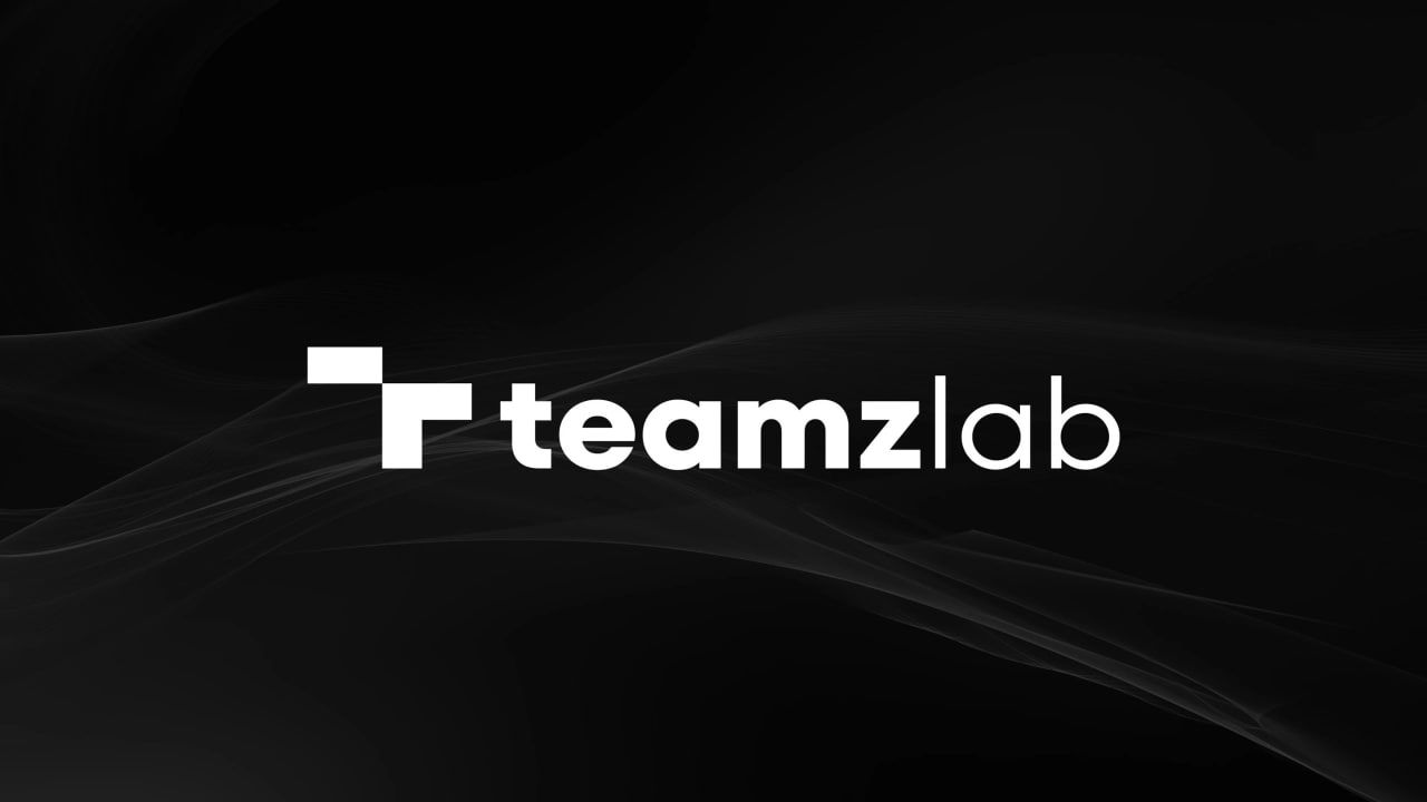 Teamzlab LTD