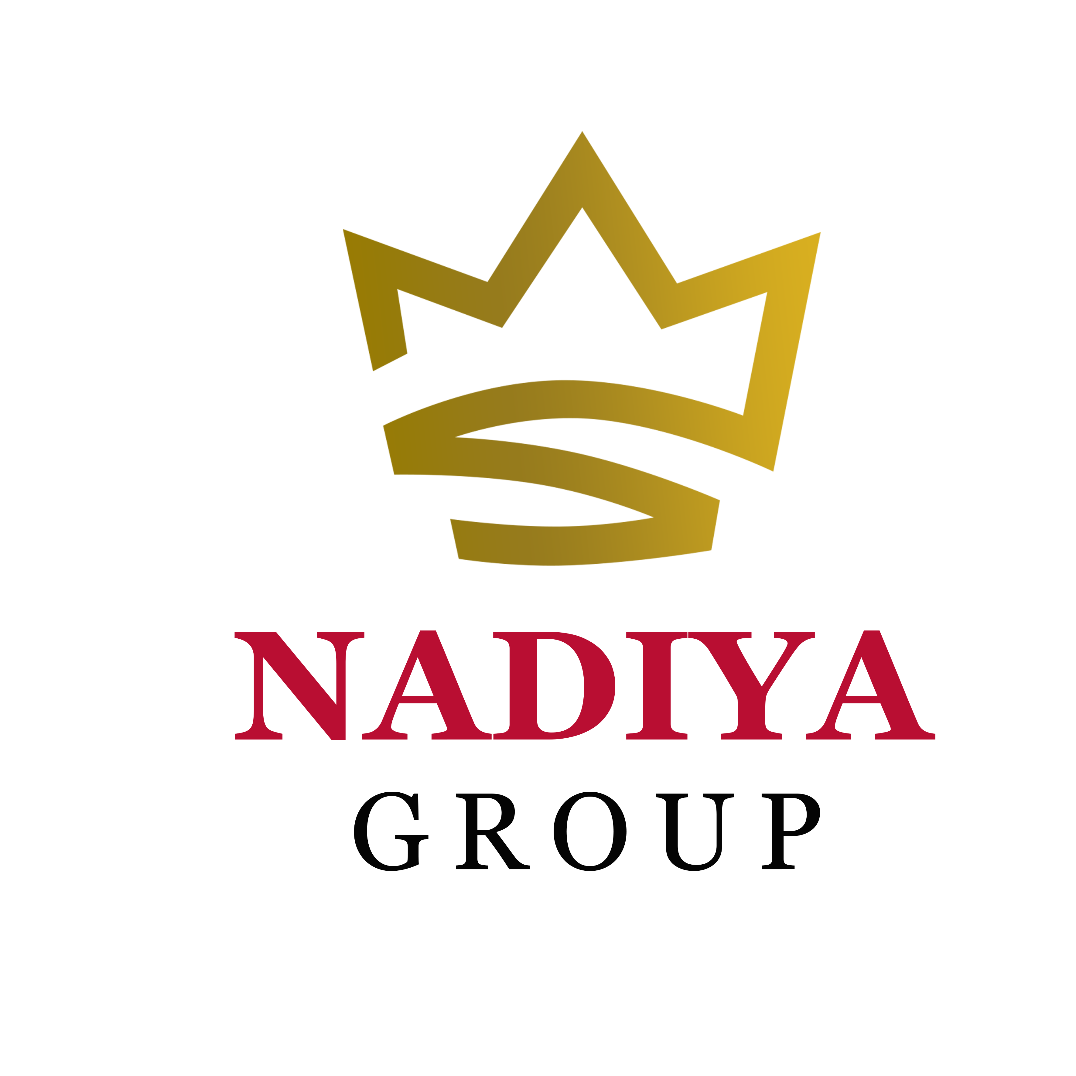 PT NADIYA TRANS KARYA