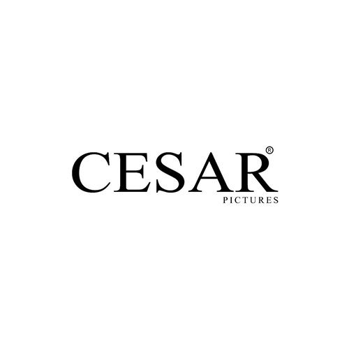 Cesar Photography