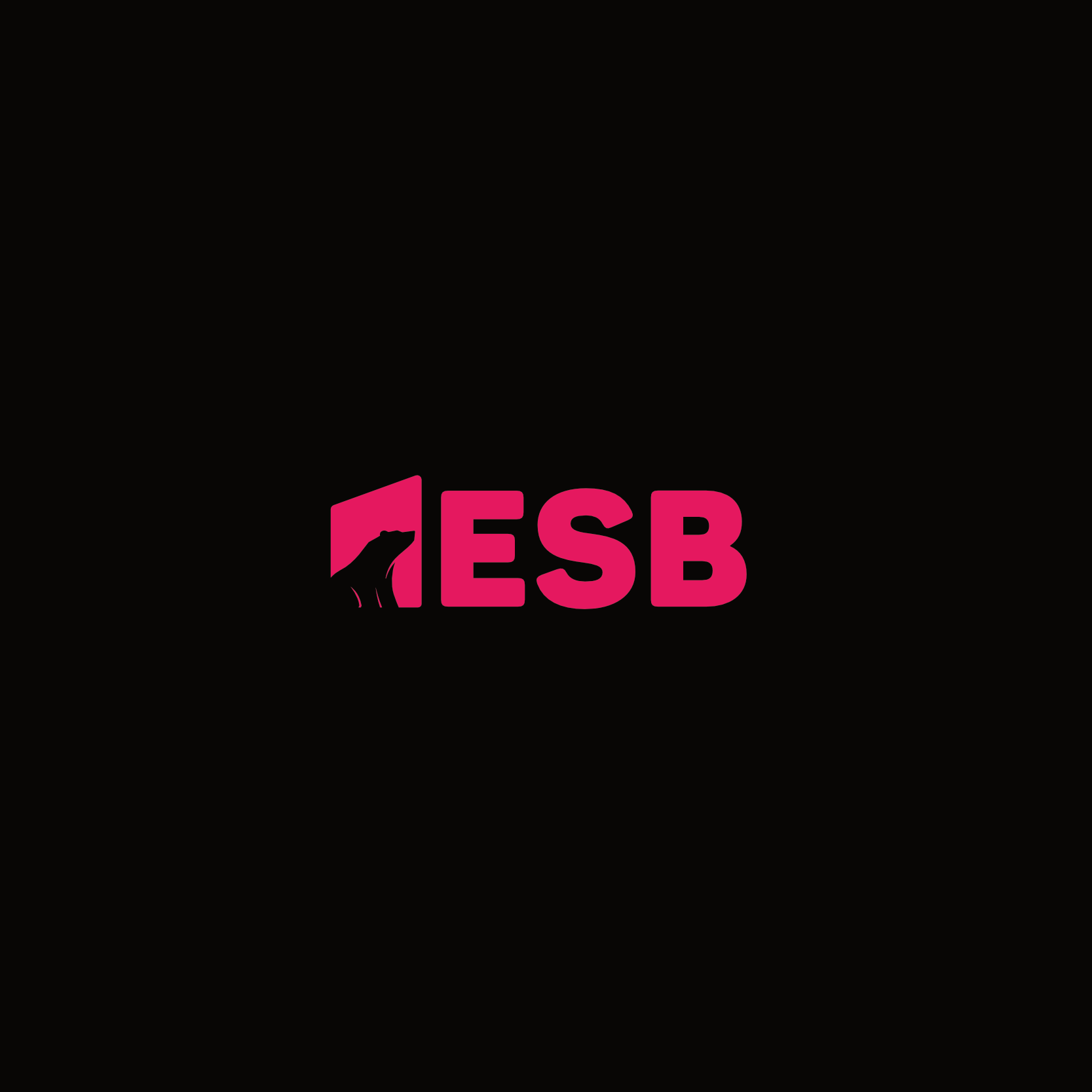 PT ESB (Empat Sahabat Beruang)