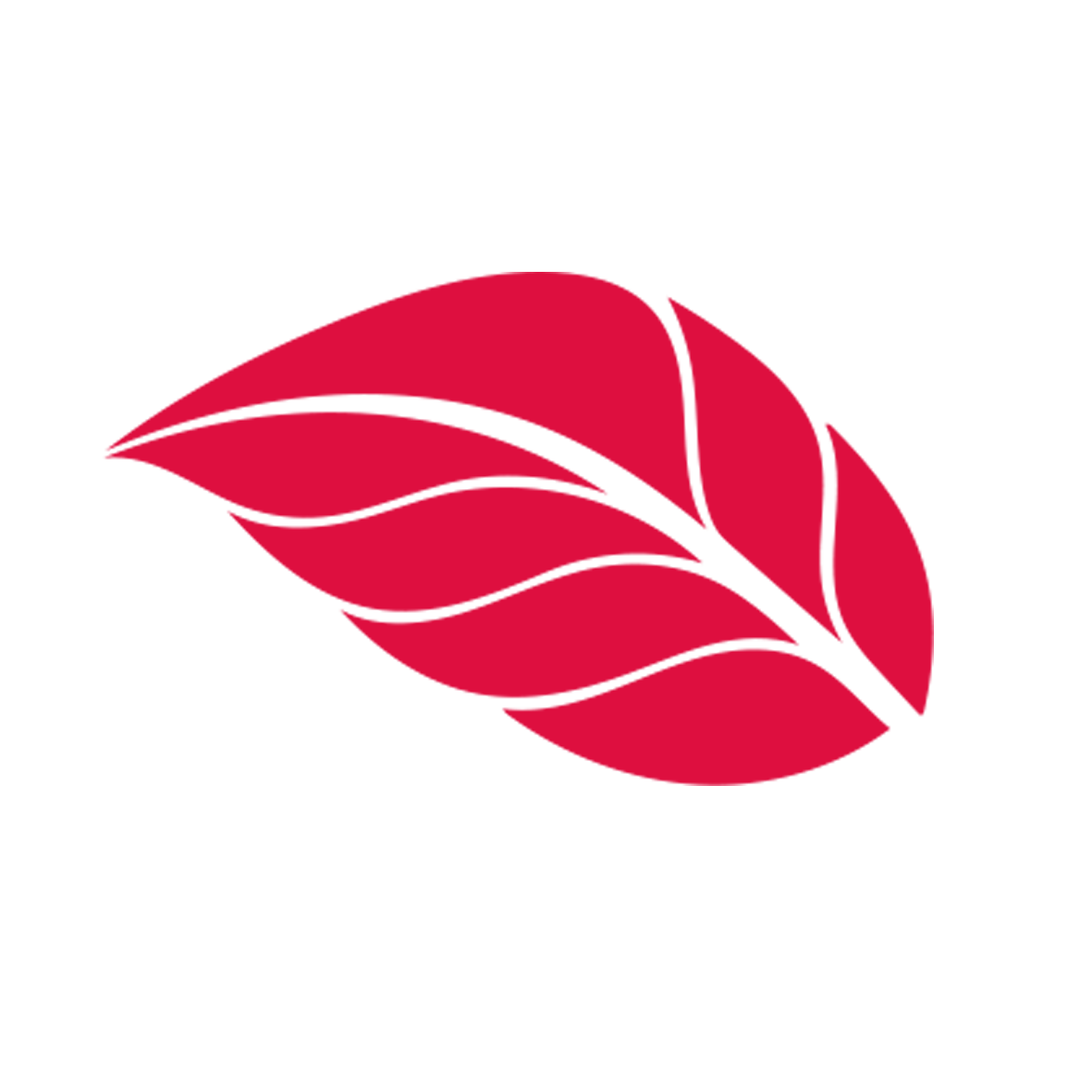 CV ASIA RAYA INDUSTRI