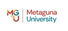 International Design School logo