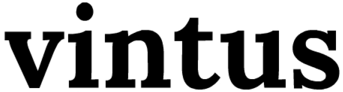 PT Vintus Integrasi Bisnis