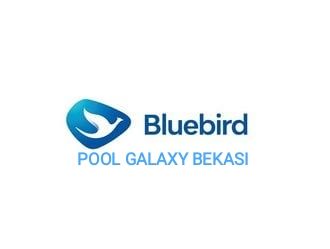 Bluebird