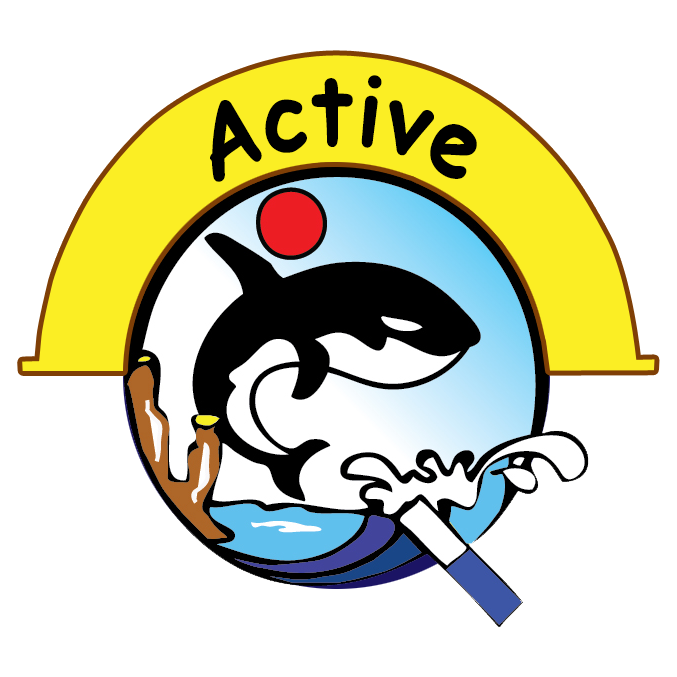 CV Active Q