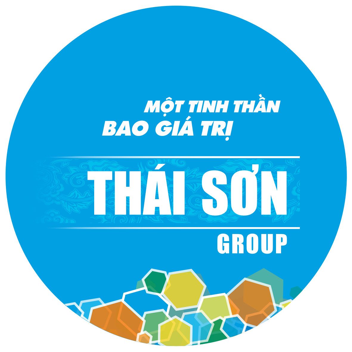 CHI NHÁNH CÔNG TY TNHH TP THÁI SƠN KHO HÀNG NGUYỄN THÁI BÌNH