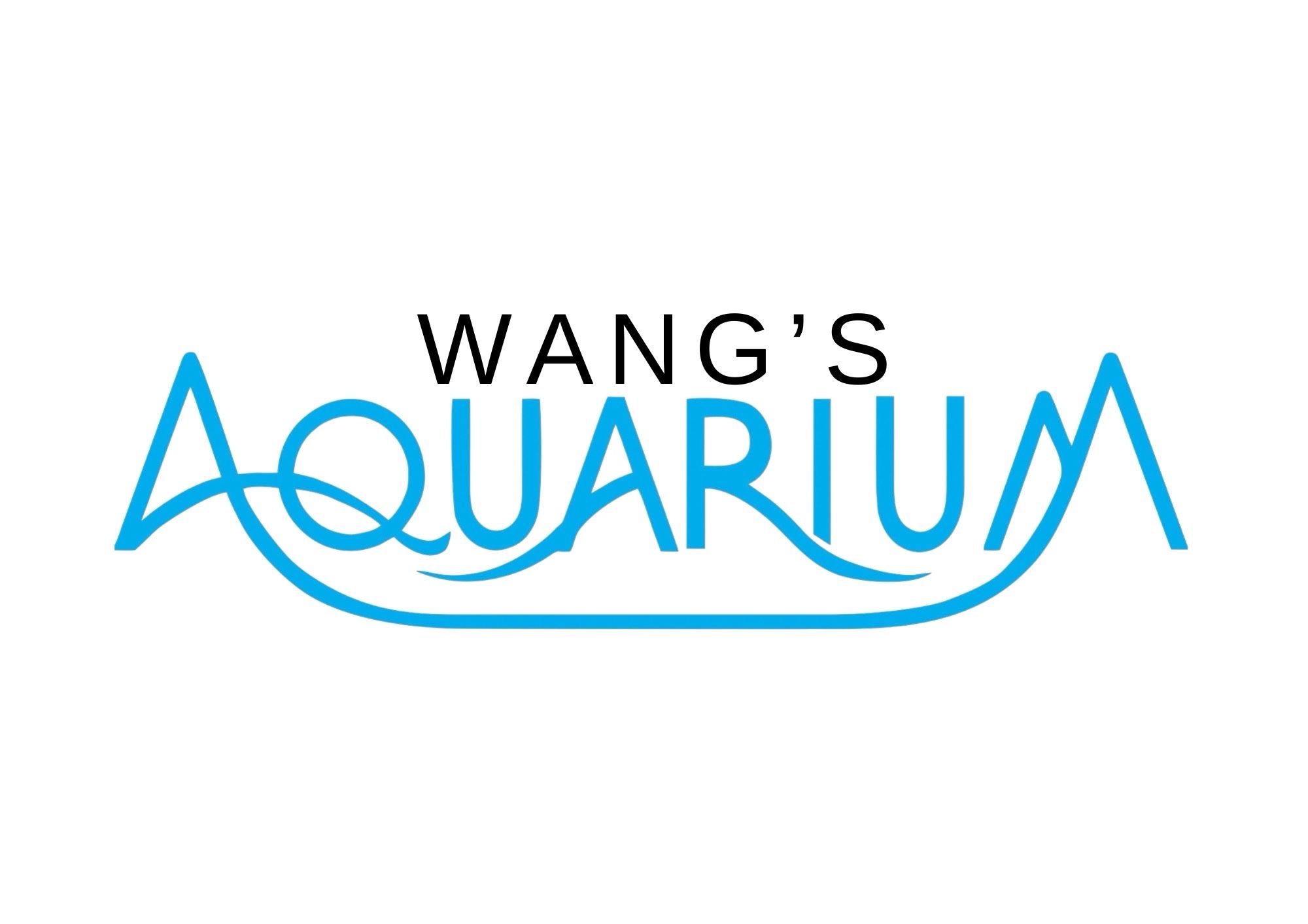 Wang’s Aquarium