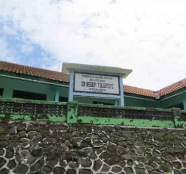 SD Negeri Tinjumoyo Windusari logo