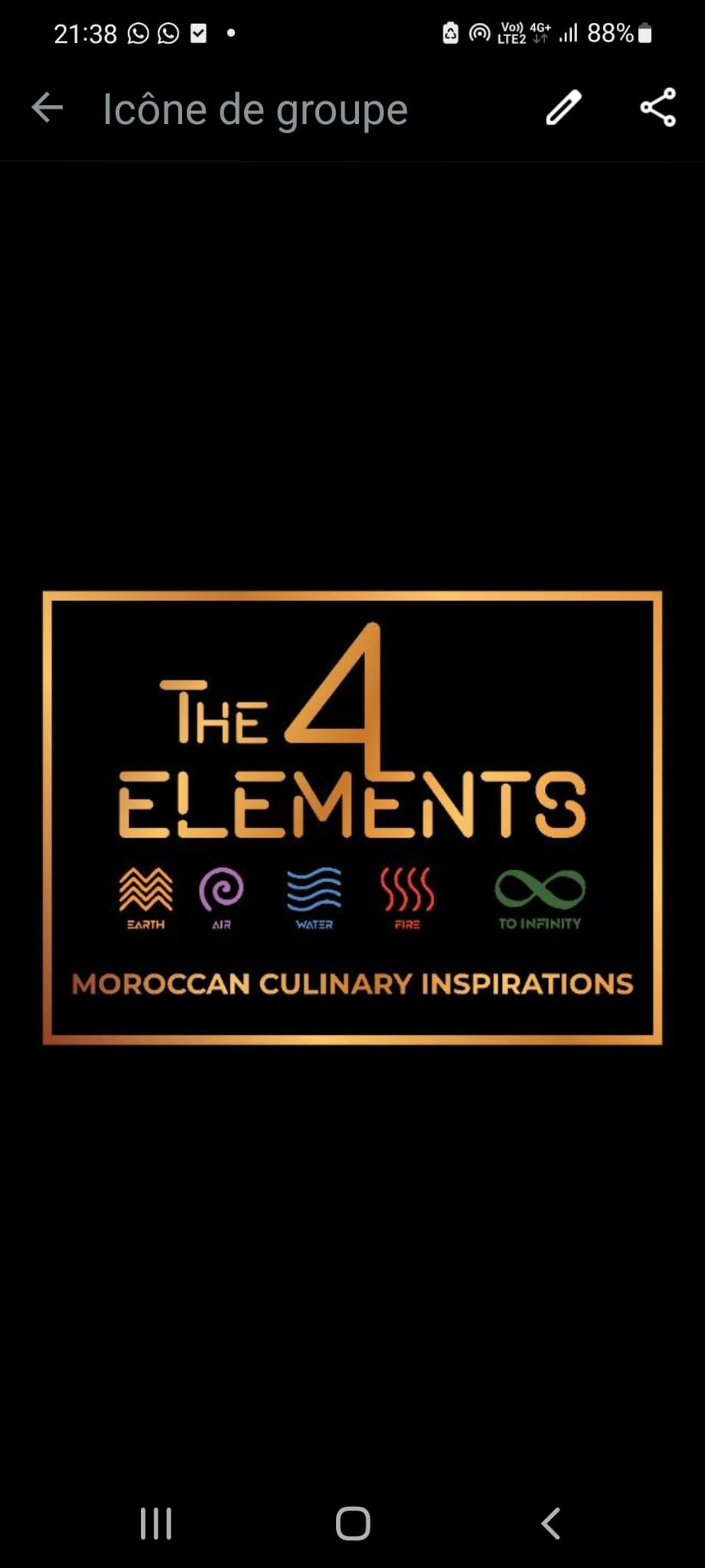 The 4 elements logo
