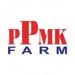 PT. PUTRA PRIMA MANDIRI KEDIRI
