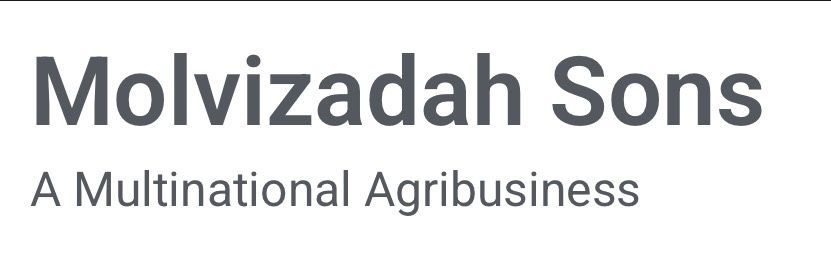 PT MOLVIZADAH SONS INDONESIA