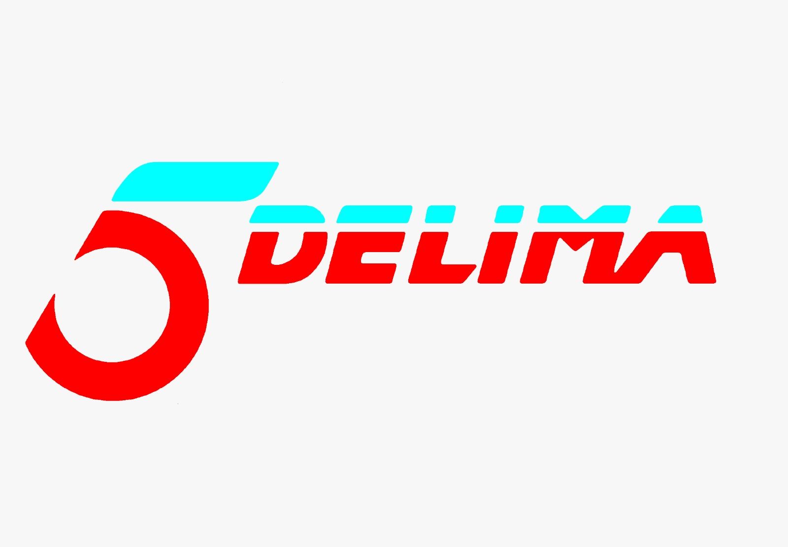 PT. Delima Insan Sejahtera