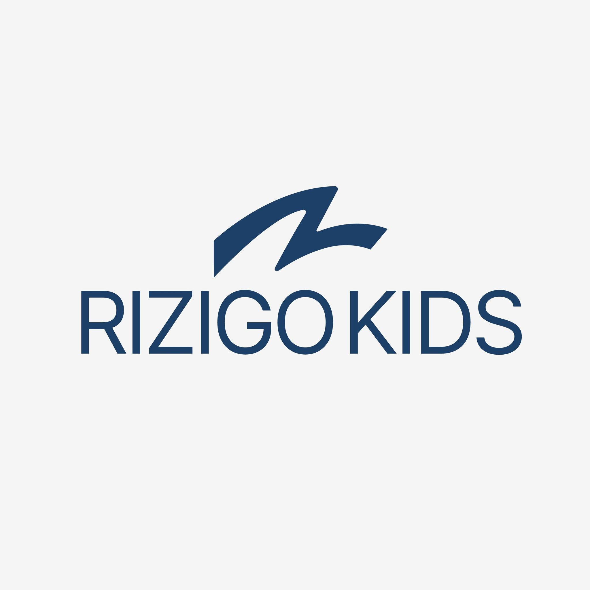 Cv Rizigo Kreasi Indonesia