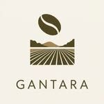 Gantara Caffe