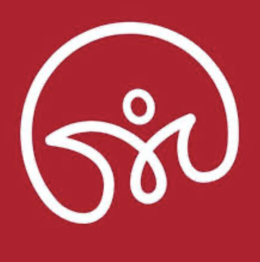 PT Merapi Visitama Indonesia logo