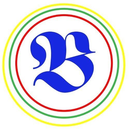 PT. Berkatindo Nusantara Bersinar logo