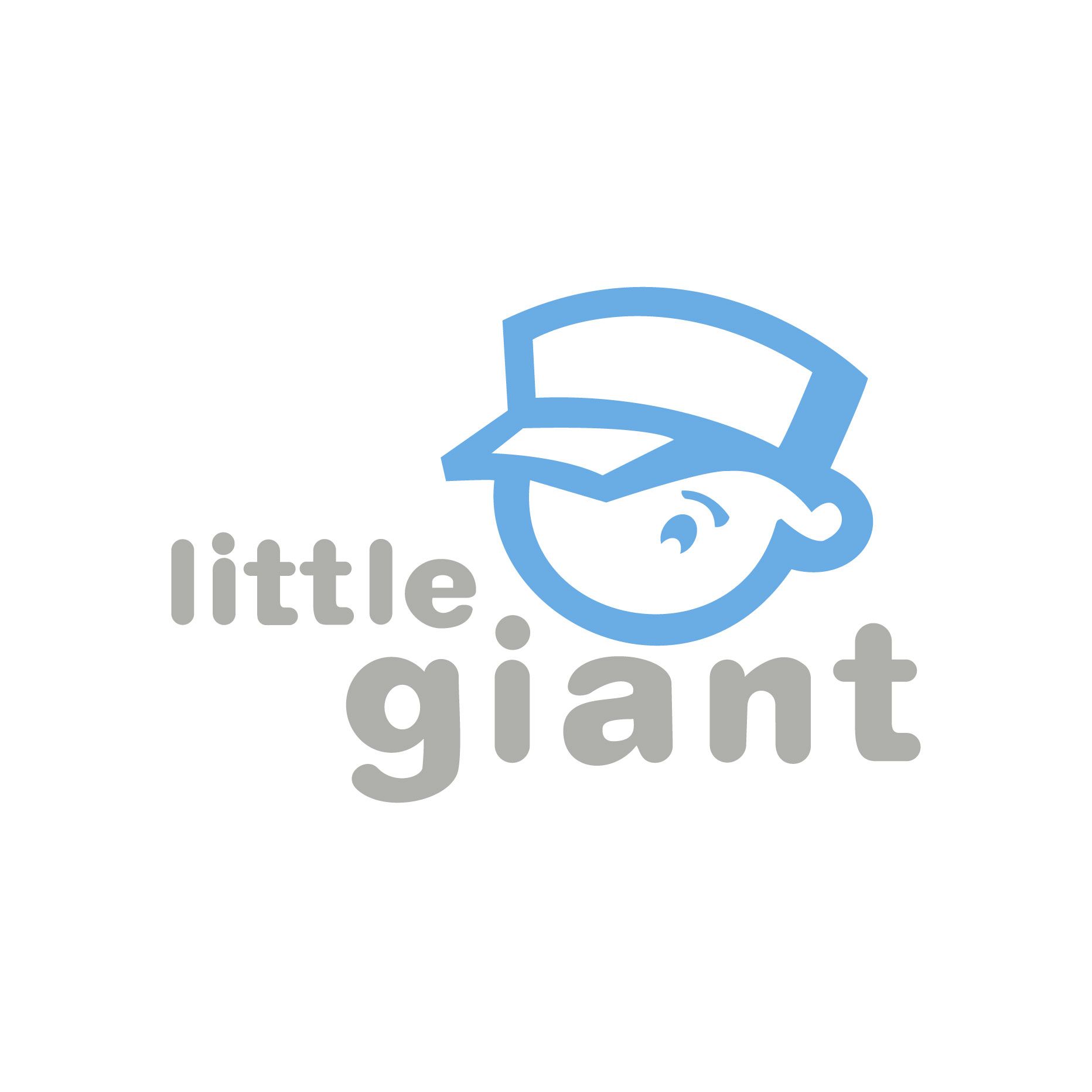 PT LIGIENT (Little Giant Indonesia)