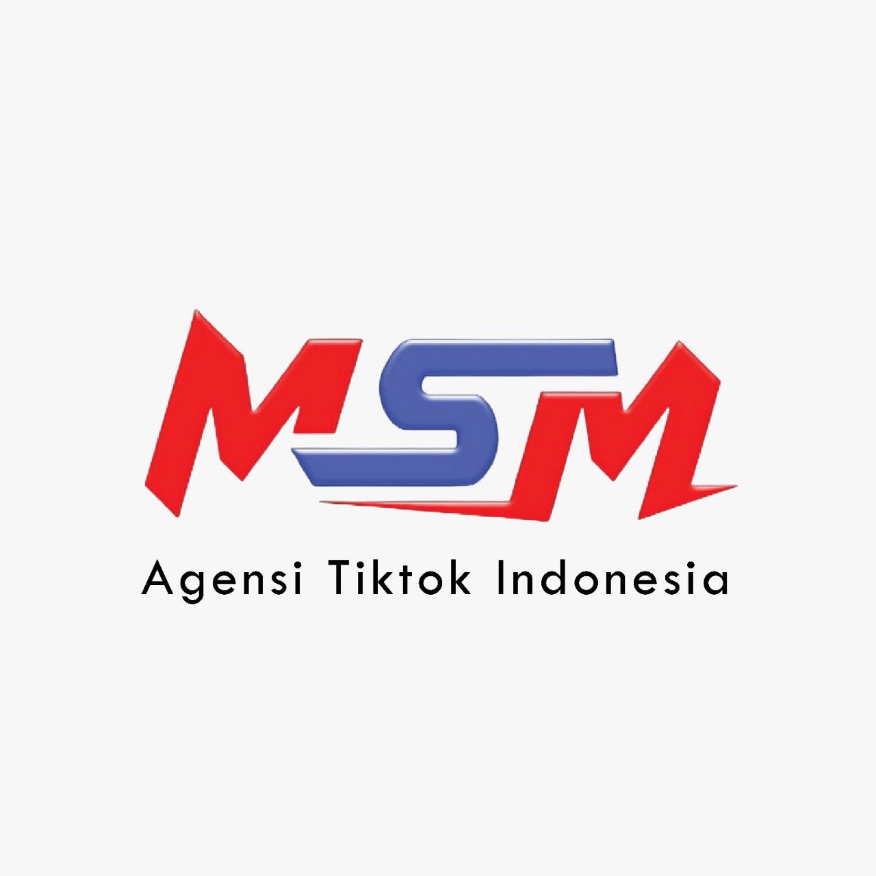 Agency msm international