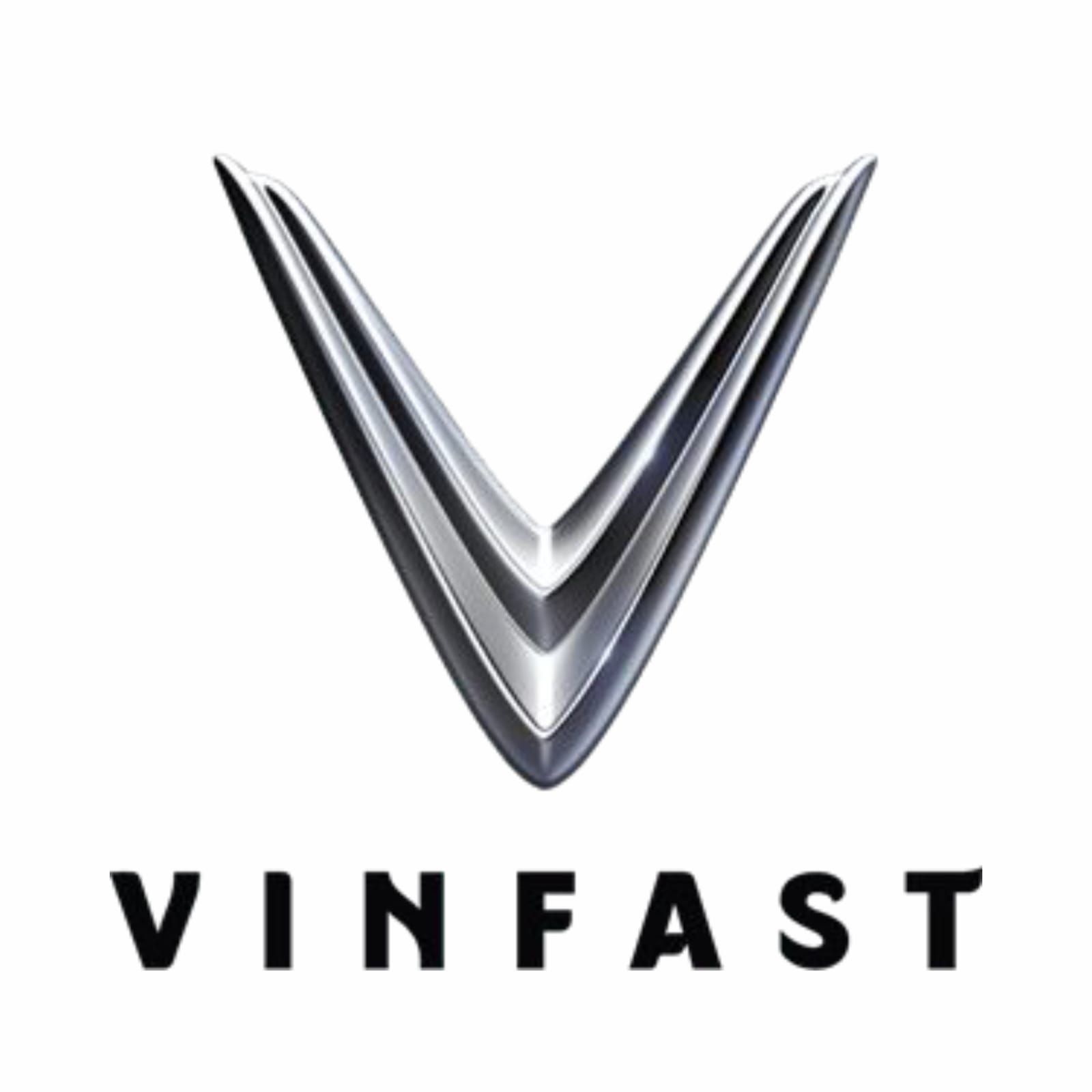 Vinfast DMS Solo Raya